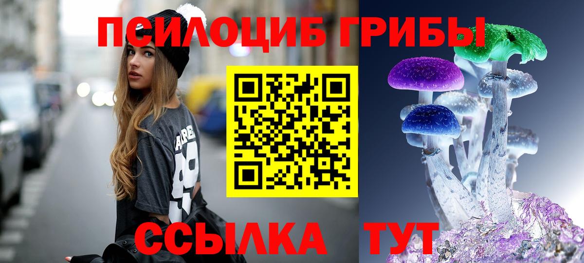 Псилоцибиновые грибы Cubensis  Вход с VPN  Галлюциногенные грибы прущие грибы  Новотроицк 